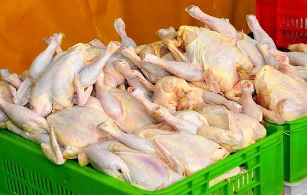 خبرنگاران مرغ گرم مصرفی و مورد احتیاج در استان همدان تامین شده است
