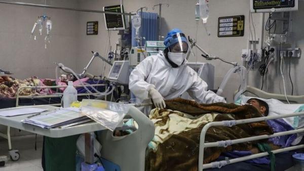 رکورد فوتی های کرونایی در استان بوشهر شکسته شد